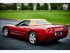 Thumbnail Photo 13 for 1999 Chevrolet Corvette Convertible